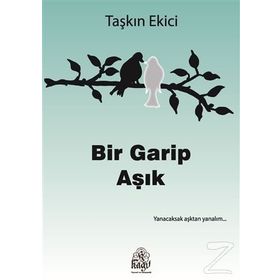 Bir Garip Aşık - Taşkın Ekici