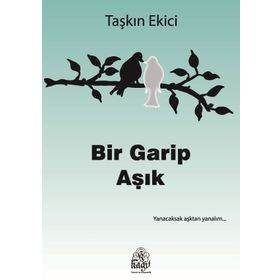 Bir Garip Aşık - Taşkın Ekici