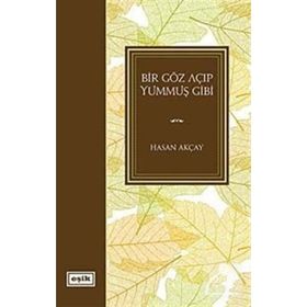 BIR GÖZ AÇIP YUMMUŞ GIBI - HASAN AKÇAY