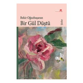 BIR GÜL DÜŞTÜ - BEKIR OĞUZBAŞARAN