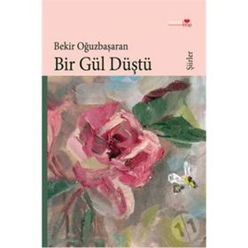 BIR GÜL DÜŞTÜ - BEKIR OĞUZBAŞARAN