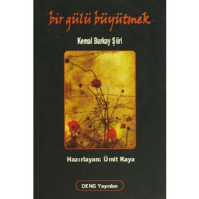 Bir Gülü Büyütmek - Kemal Burkay
