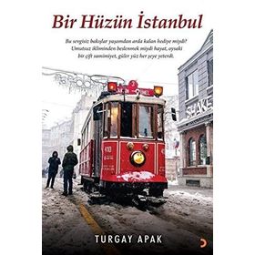 Bir Hüzün İstanbul Cinius Yayınları