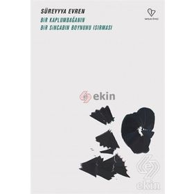 Bir Kaplumbağanın Bir Sincabın Boynunu Isırması - Süreyya Evren