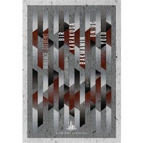 Bir Karakuşa Bakmanın On Üç Yolu - Wallace Stevens