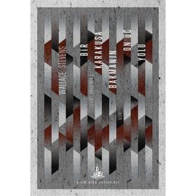 Bir Karakuşa Bakmanın On Üç Yolu - Wallace Stevens