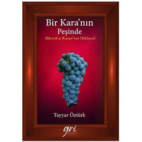Bir Kara’nın Peşinde - Tayyar Öztürk
