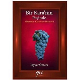 Bir Kara’nın Peşinde - Tayyar Öztürk