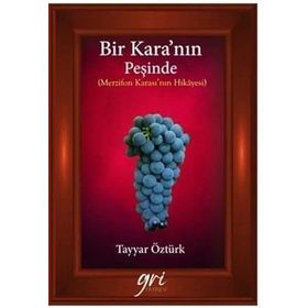 Bir Kara’nın Peşinde - Tayyar Öztürk