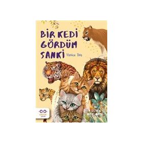 Bir Kedi Gördüm Sanki - Hatice İbiş