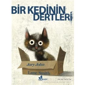 Bir Kedinin Dertleri - Lane Smith