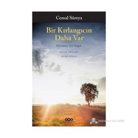 Bir Kırlangıcın Daha Var - Cemal Süreyya