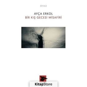 Bir Kış Gecesi Misafiri - Ayça Erkol