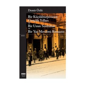 BIR KÜÇÜKBURJUVANIN GENÇLIK YILLARI BIR UZUN SONBAHAR - BIR YAZ MEVSIMI ROMANI - DEMIR ÖZLÜ
