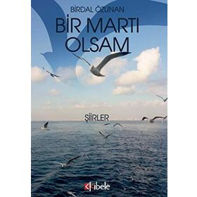 Bir Martı Olsam -Birdal Özunan