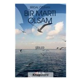 Bir Martı Olsam -Birdal Özunan