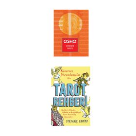 Bir Meditasyon Kursu - Osho - Butik Yayınları
