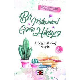 Bir Mükemmel Günün Hikayesi - Ayşegül Akakuş Akgün