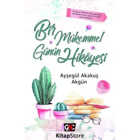 Bir Mükemmel Günün Hikayesi - Ayşegül Akakuş Akgün