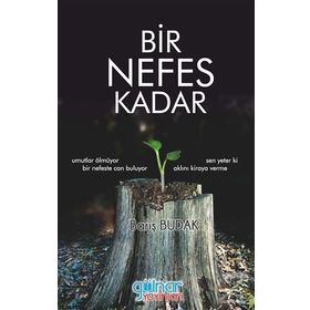 Bir Nefes Kadar - Barış Budak