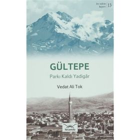 Bir Nefeste Kayseri 13 - Gültepe - Vedat Ali Tok