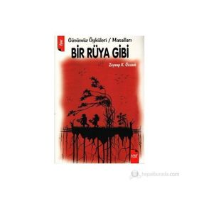 BIR RÜYA GIBI - ZEYNEP K. ÖZCANLI