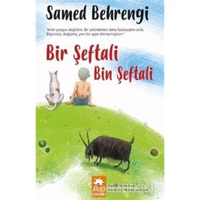 Bir Şeftali Bin - Samed Behrengi