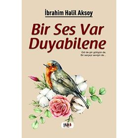 Bir Ses Var Duyabilene - İbrahim Halil Aksoy
