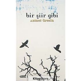 BIR ŞİİR GIBI - AHMET ÜRESİN