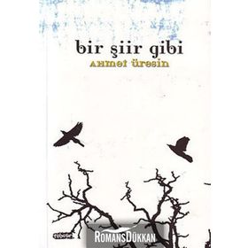 BIR ŞİİR GIBI - AHMET ÜRESİN