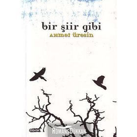 BIR ŞİİR GIBI - AHMET ÜRESİN