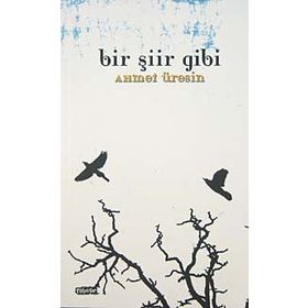 BIR ŞİİR GIBI - AHMET ÜRESİN