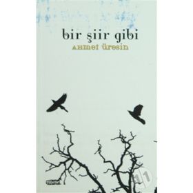 BIR ŞİİR GIBI - AHMET ÜRESİN