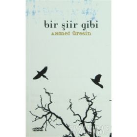 BIR ŞİİR GIBI - AHMET ÜRESİN