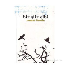 BIR ŞİİR GIBI - AHMET ÜRESİN