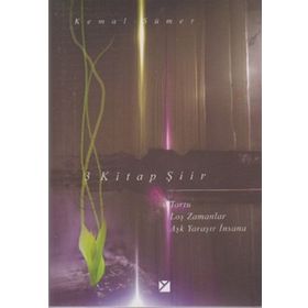 BIR ŞİİR MÜZESİ (KUTULU 3 KITAP) - SAIT MADEN