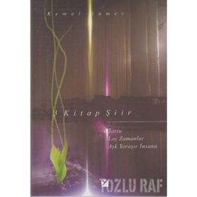 BIR ŞİİR MÜZESİ (KUTULU 3 KITAP) - SAIT MADEN