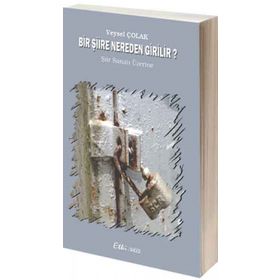 Bir Şiire Nereden Girilir? - Veysel Çolak