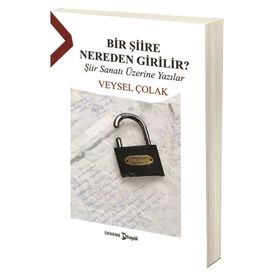 Bir Şiire Nereden Girilir? - Veysel Çolak