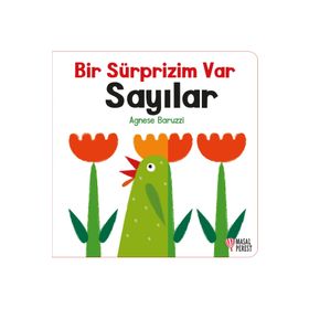 Bir Sürprizim Var Sayılar Masalperest