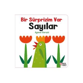 Bir Sürprizim Var Sayılar Masalperest