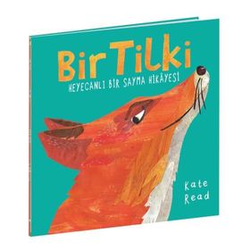 Bir Tilki Heyecanlı Bir Sayma Hikayesi - Kate Read