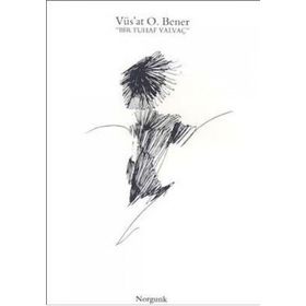 BIR TUHAF YALVAÇ - GENEL