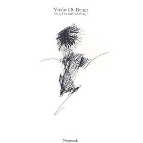 BIR TUHAF YALVAÇ - GENEL