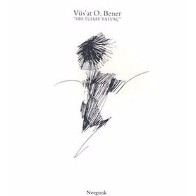 BIR TUHAF YALVAÇ - GENEL