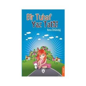 Bir Tuhaf Yaz Tatili - Banu Üstündağ