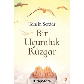 Bir Uçumluk Rüzgar - Tahsin Serdar