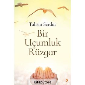Bir Uçumluk Rüzgar - Tahsin Serdar