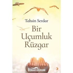 Bir Uçumluk Rüzgar - Tahsin Serdar