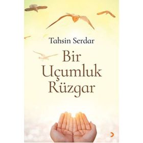 Bir Uçumluk Rüzgar - Tahsin Serdar